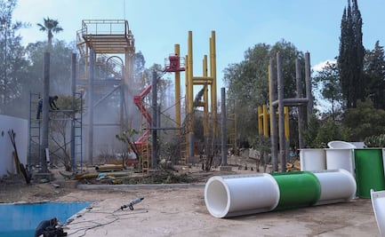 Segam y parque Tangamanga I demuestran que no hay tala de árboles en obras del balneario Splash