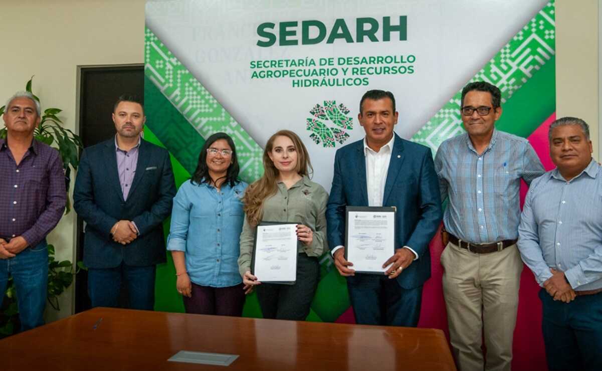Acuerdan protección de 3 especies de fauna y preservación de "ecosistemas sagrados" de SLP. Foto: Especial