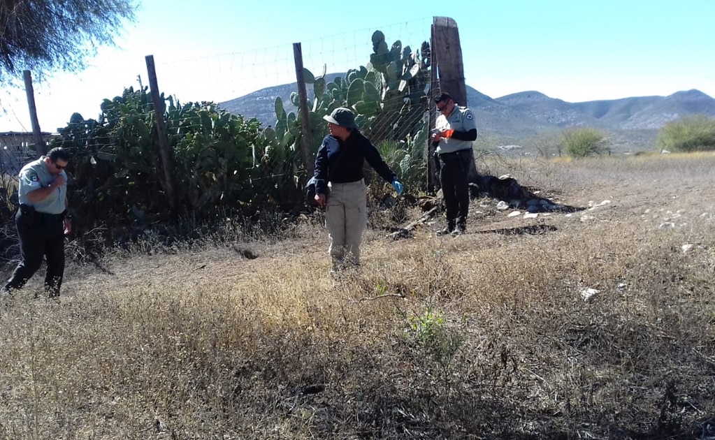 Localizan restos óseos en Ciudad del Maíz 