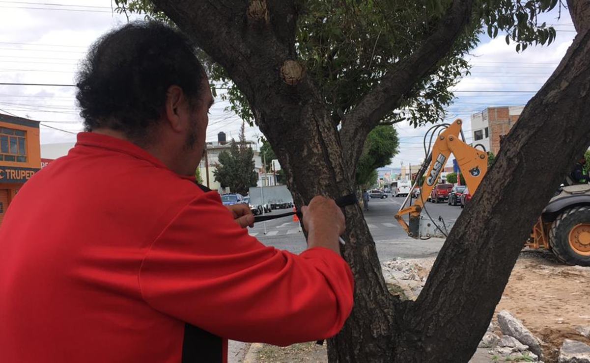 Respetará ayuntamiento de SLP acuerdo para no retirar arbolado y ciclovía en Himno Nacional. Foto: Xochiquetzal Rangel