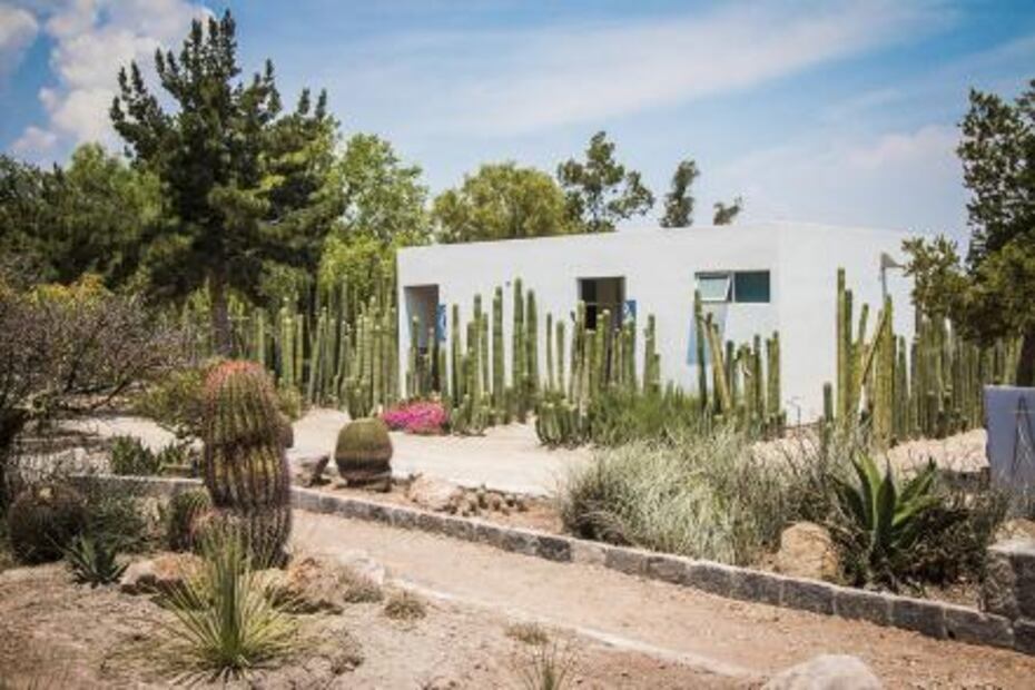 Jardín Botánico UASLP, ejemplo de conservación de plantas