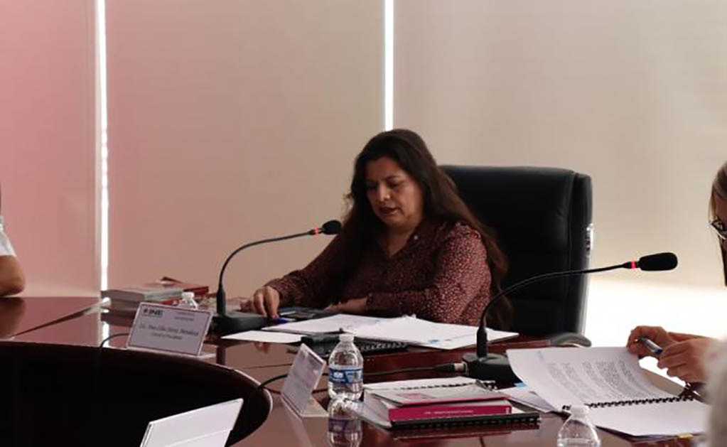 El 23 de agosto asignará INE las pluris al Congreso de la Unión