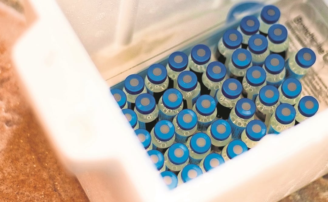 Foto: Archivo. EL UNIVERSAL