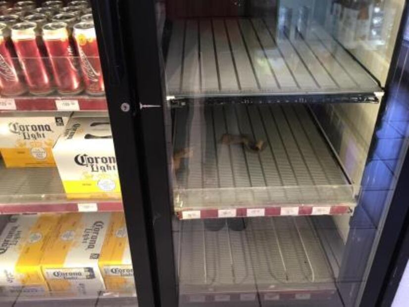 Ante incremento de precio ¿Cuánto cuesta la cerveza media y la caguama en SLP?