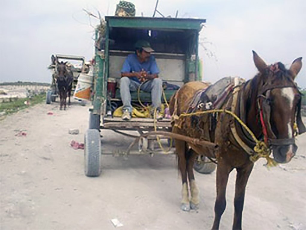 Buscan motorizar a recolectores de basura 