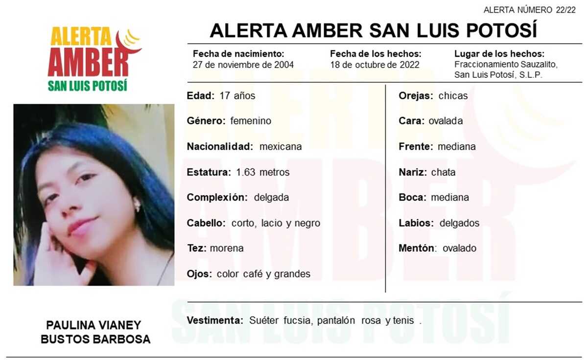 Alerta Amber. Fiscalía de SLP pide ayuda para localizar a Paulina Vianey, adolescente de 17 años. Foto: Especial