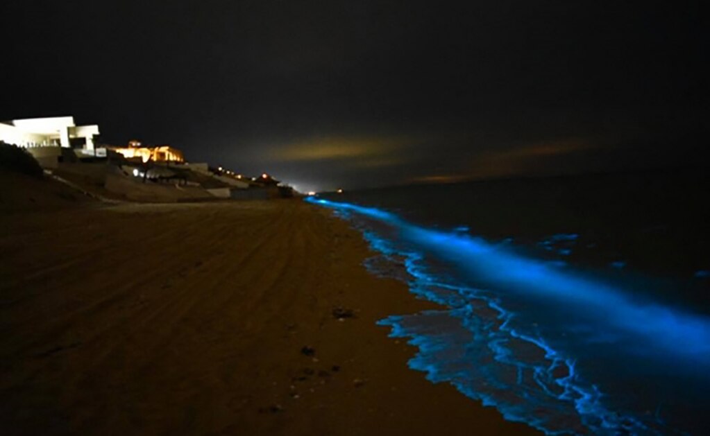 (GALERÍA) Captan espectacular efecto por bioluminiscencia en Puerto Peñasco