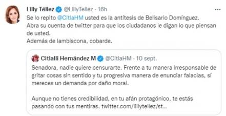 Senador de Morena aclara “infamia de hace 18 años” que “revivió” Lilly Téllez