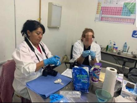 25N. “Somos la voz de quienes ya no la tienen”, Celia Cisneros mujer perito en San Luis Potosí