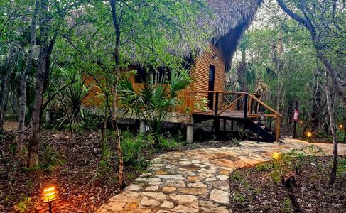 ¿Dormir en la jungla? Así puedes hospedarte en la Selva Teenek de SLP