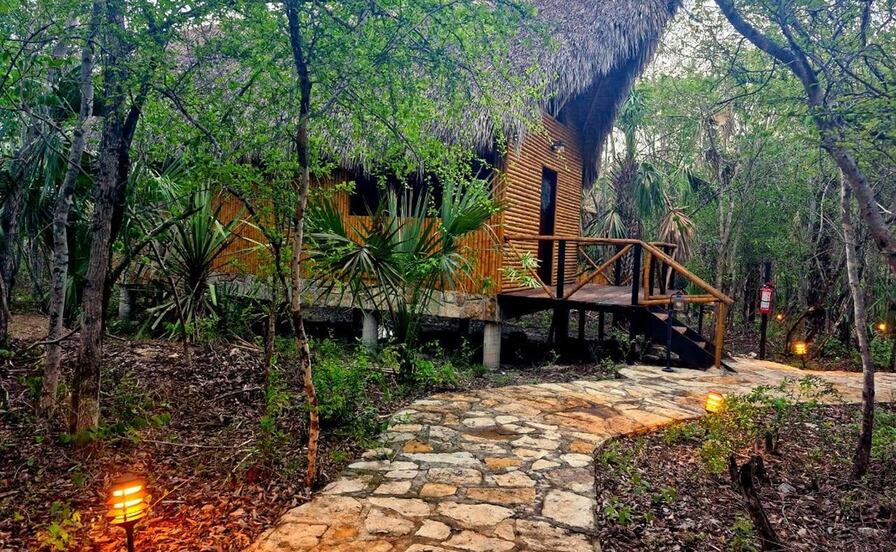 ¿Dormir en la jungla? Así puedes hospedarte en la Selva Teenek de SLP