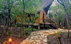¿Dormir en la jungla? Así puedes hospedarte en la Selva Teenek de SLP