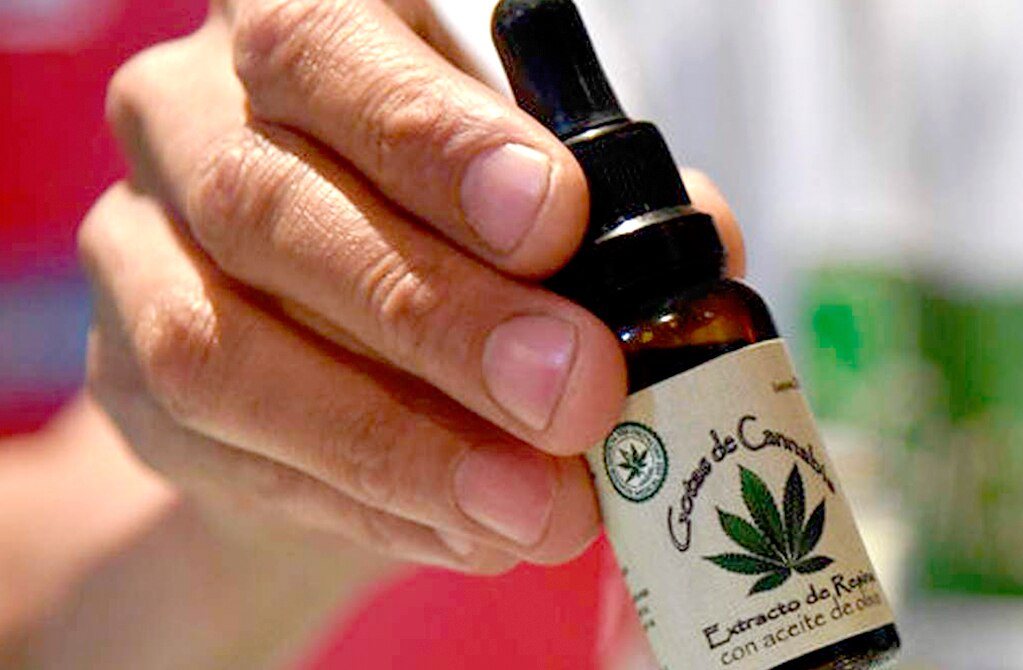 Clúster médico aprueba el uso medicinal de Cannabis