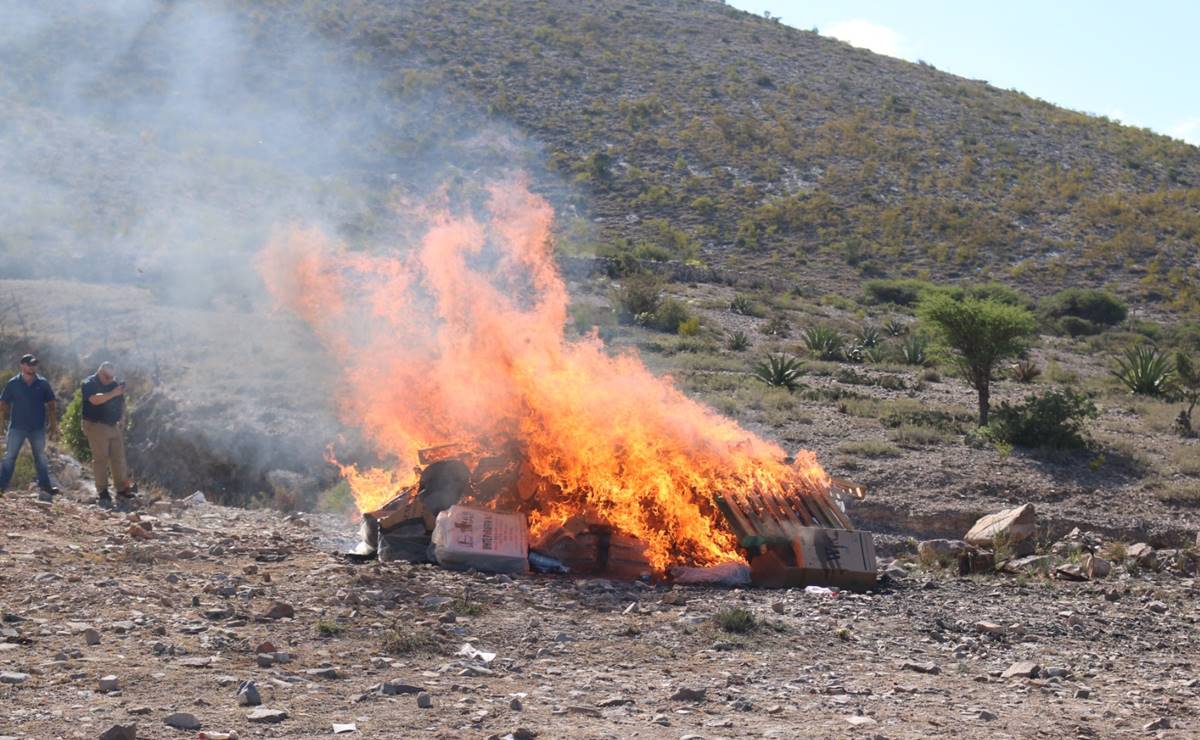 La droga fue decomisada en distintos operativos en todo el estado. Foto: Especial