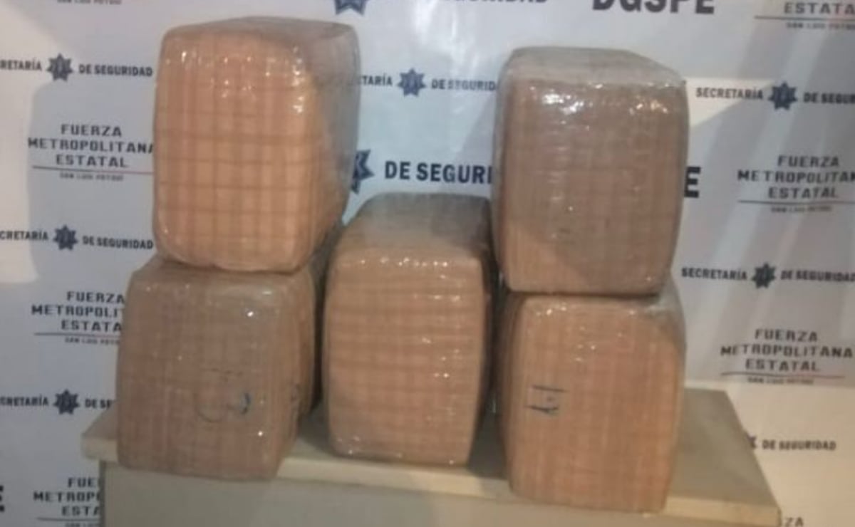 Decomisan 50 kilos de marihuana en SLP; no hay detenidos 