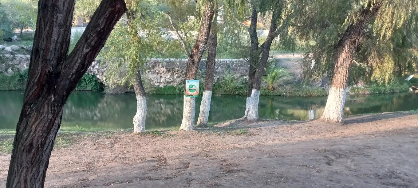 Manantial La Taza en SLP. Foto: Oscar Ridriguez