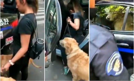 (VIDEO) “Detienen” a perritos por meterse a jugar en fuente 