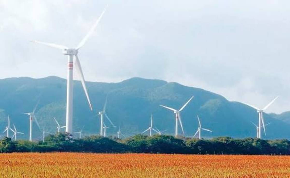 San Luis Potosí, entre los estados con mayor potencial para las energías limpias: IPAC