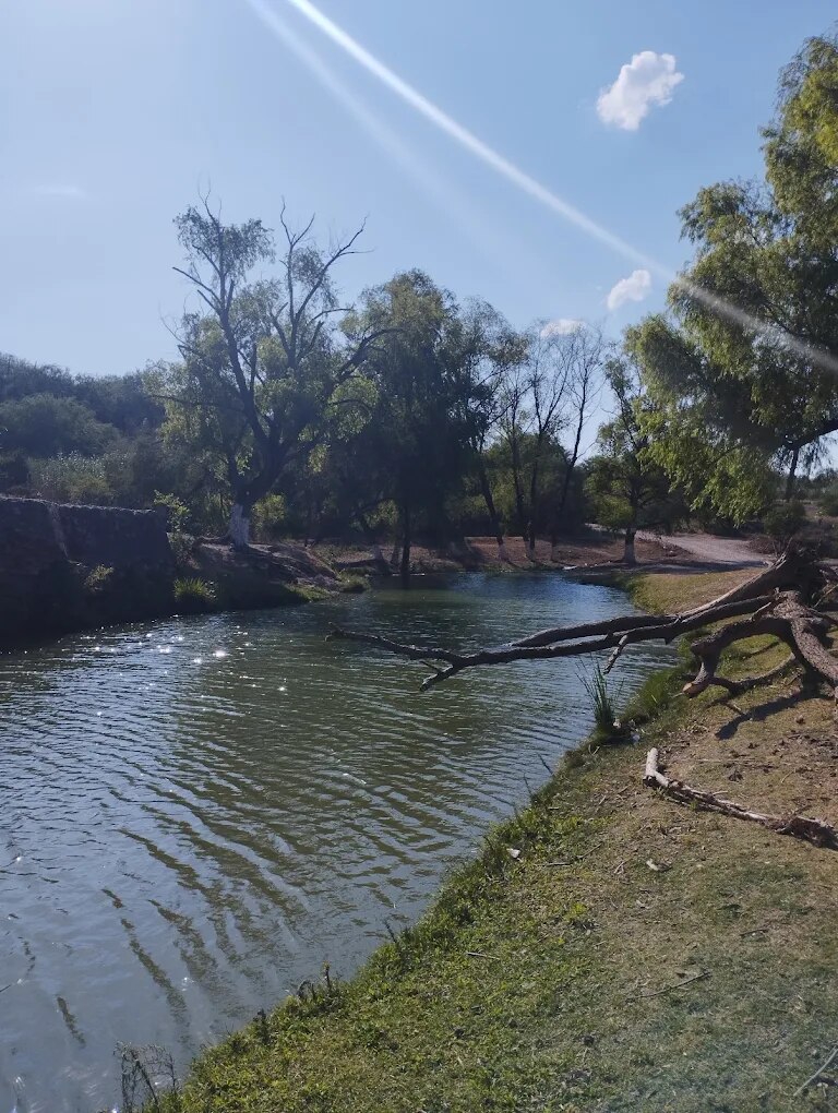 Manantial La Taza. Foto: Gabriel Romero