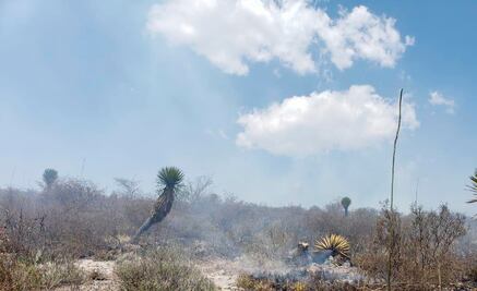 Fuego consume 120 hectáreas en Matehuala