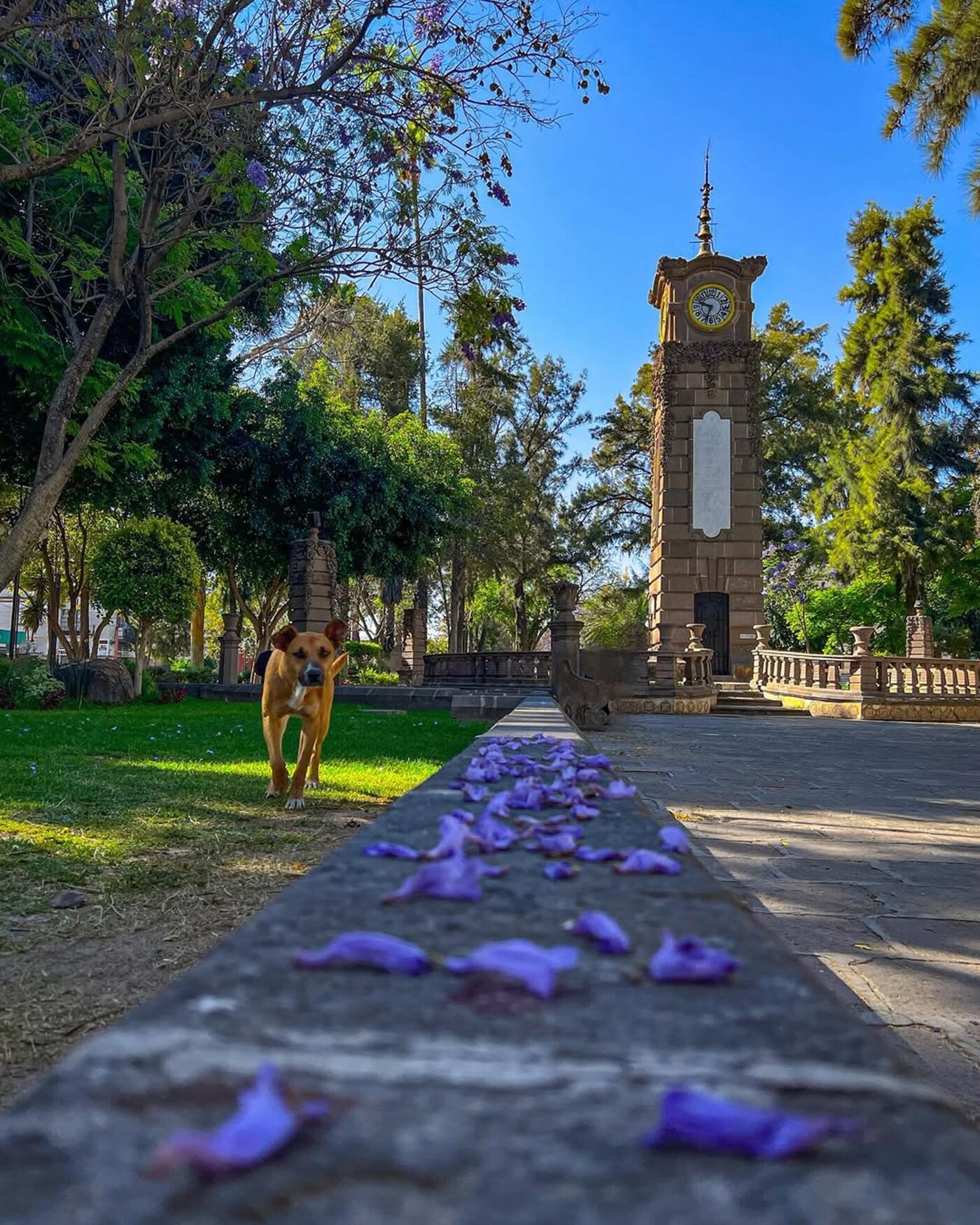 Foto: Facebook San Luis Potosí Capital.