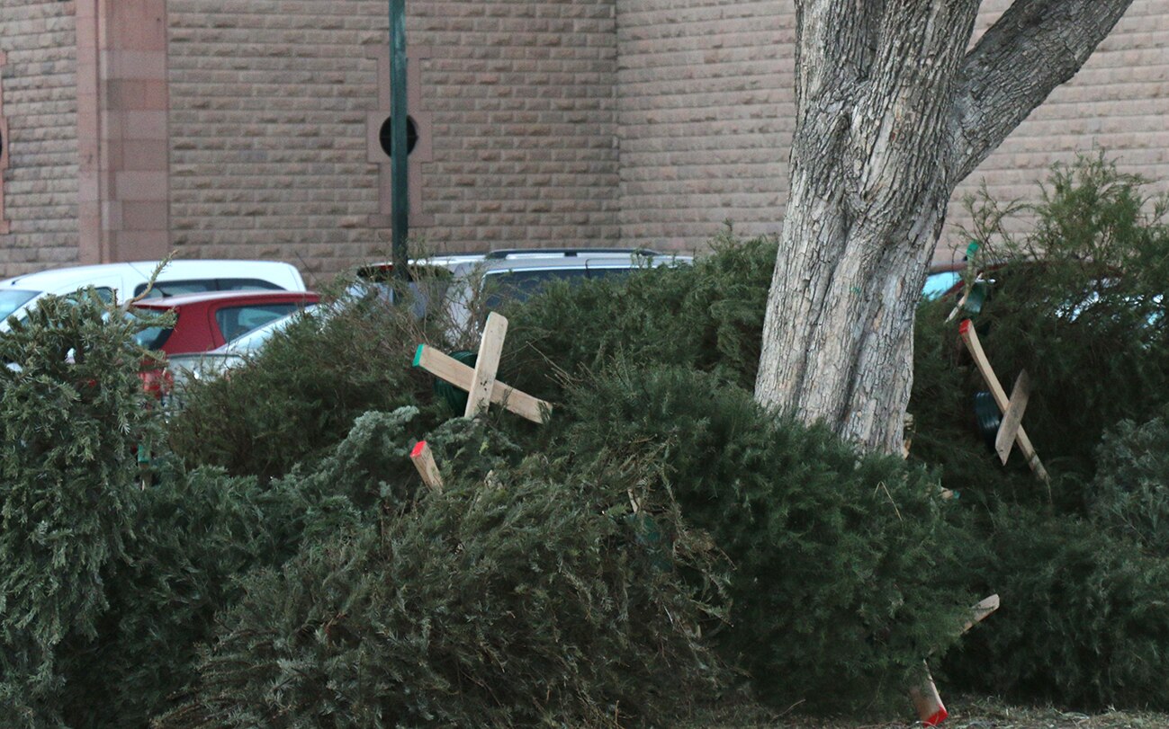 Foto: Ayuntamiento de SLP