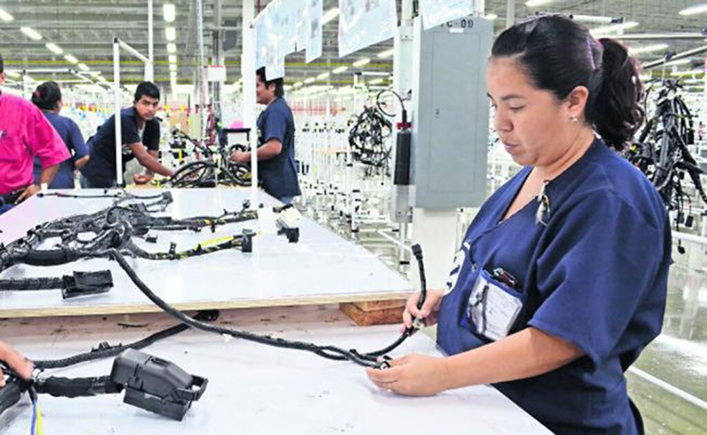 Empresas pierden cientos de millones de pesos por robo hormiga