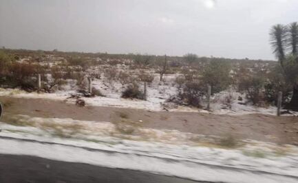 Sin mayores afectaciones por granizadas en el Altiplano