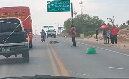 Persona muere arrollada frente a Ciudad Satélite