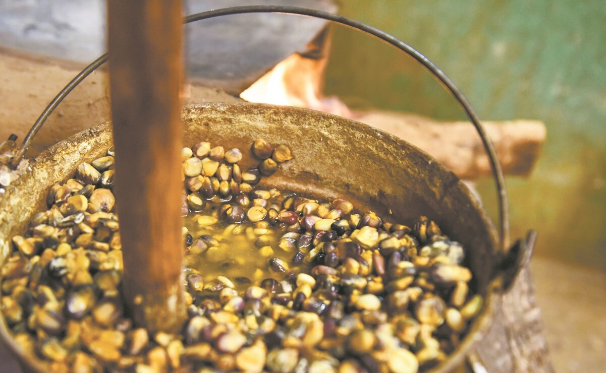 Foto: Archivo. EL UNIVERSAL