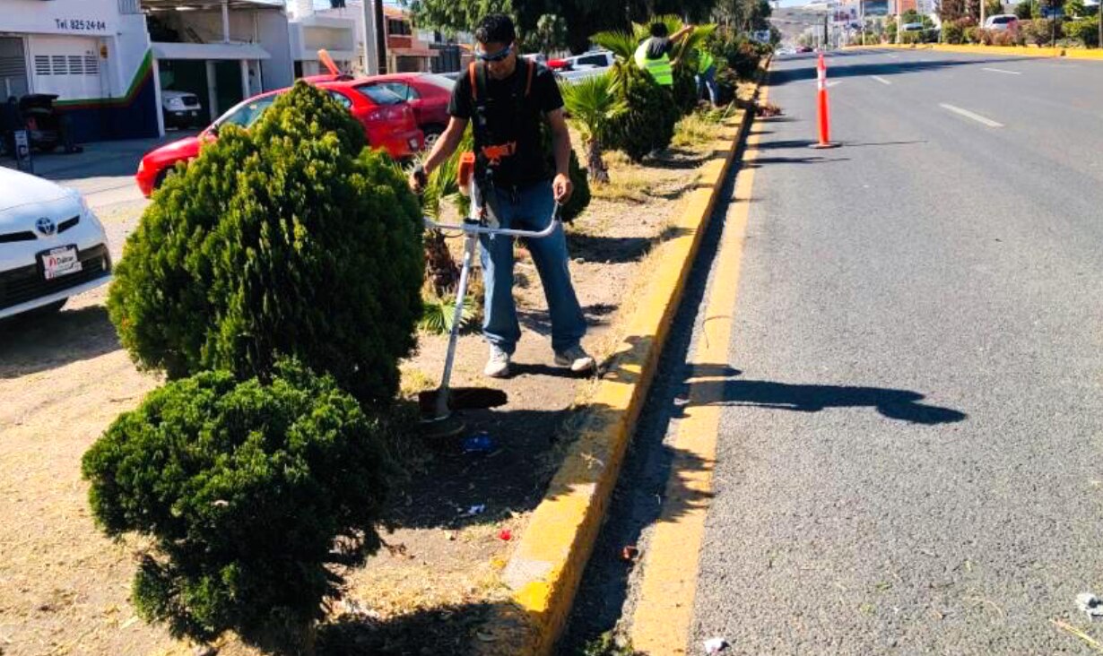 Foto: Ayuntamiento de SLP
