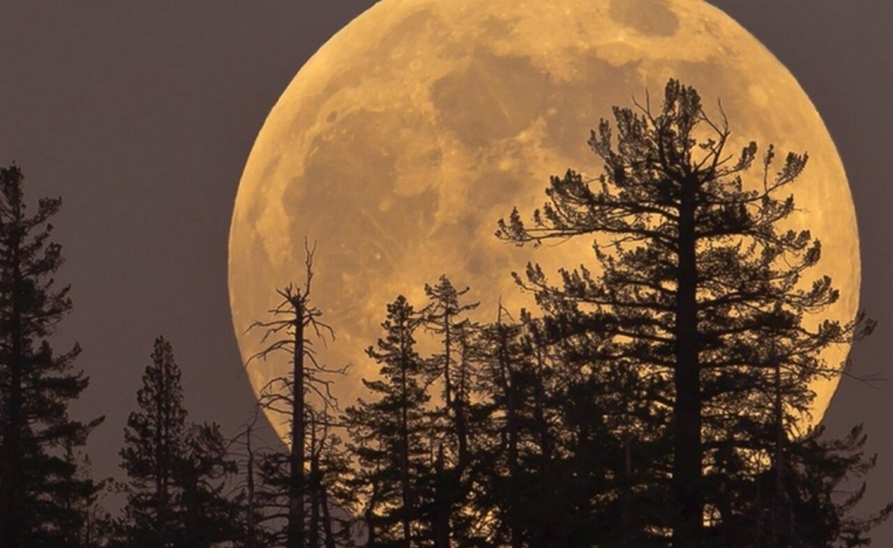 Superluna: qué es la "Luna de Nieve" que se verá este martes