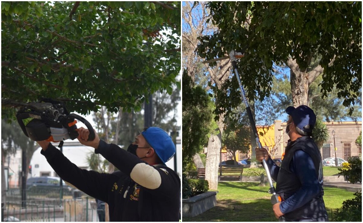 Inician labores de limpieza y restauración en jardines de la capital de San Luis Potosí