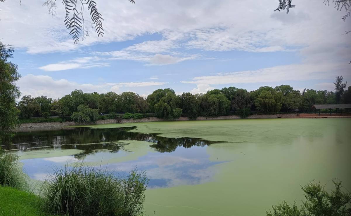 !Majestuosos! Lagos del Parque Tangamanga I alcanzan su máxima capacidad