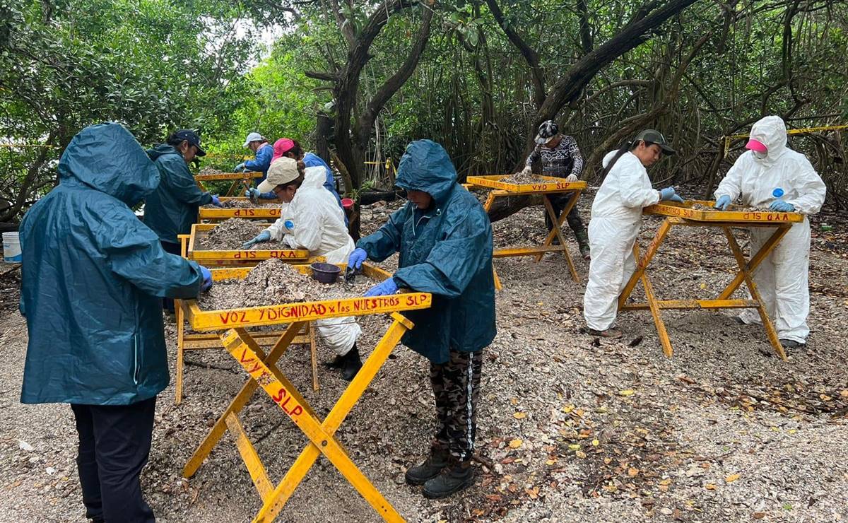 Fotos: Voy y Dignidad por los Nuestros SLP