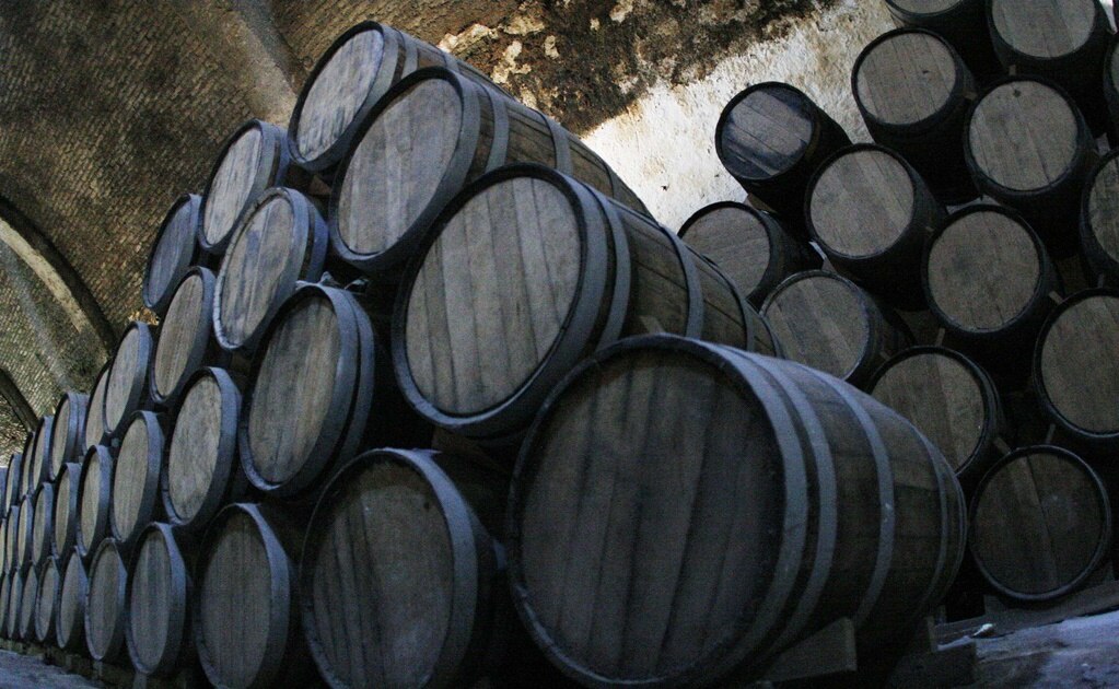 Estos son los mezcales de SLP galardonados en concurso nacional de destilados 2021