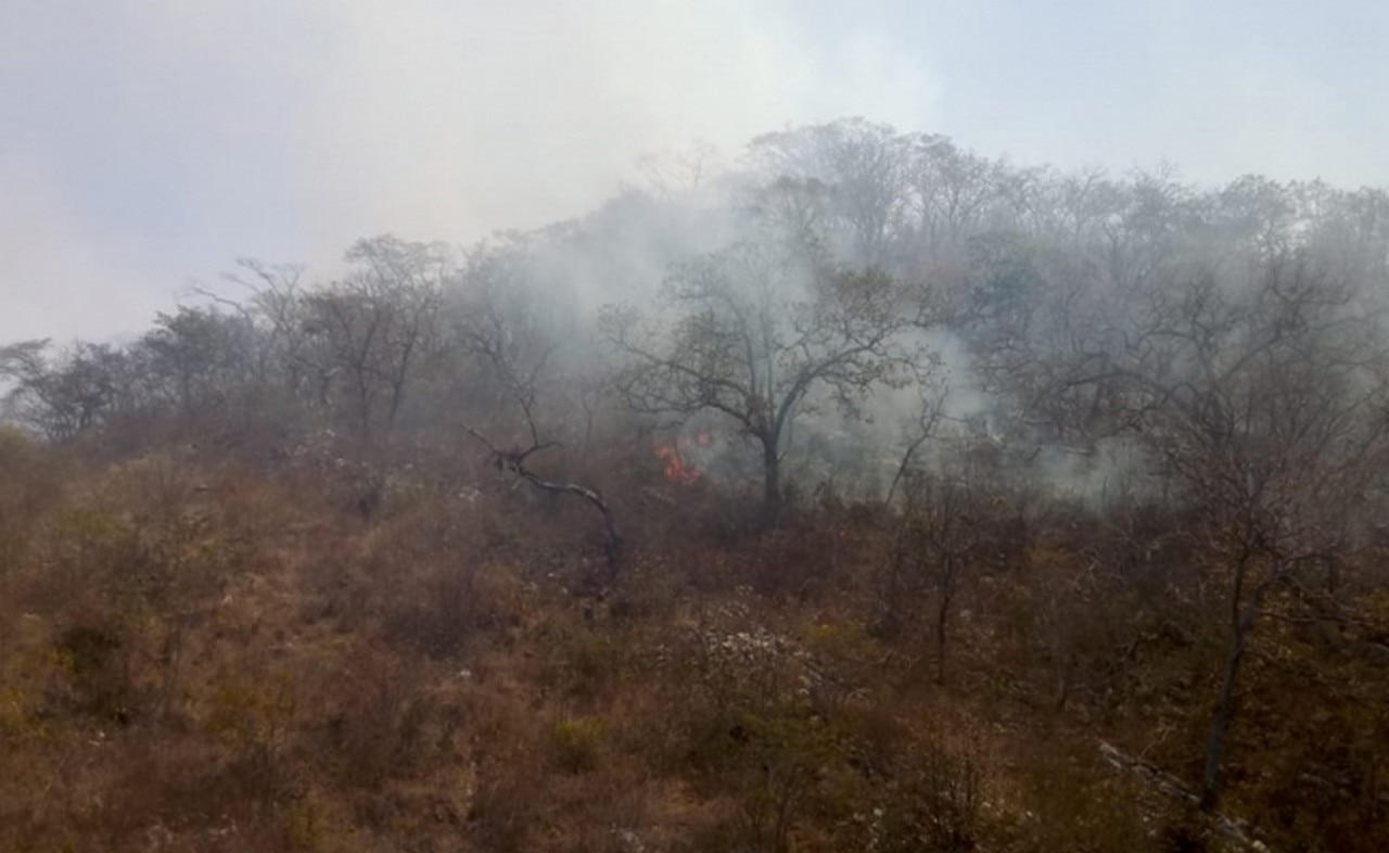 Incendio consume 50 hectáreas en Cañón del Sumidero