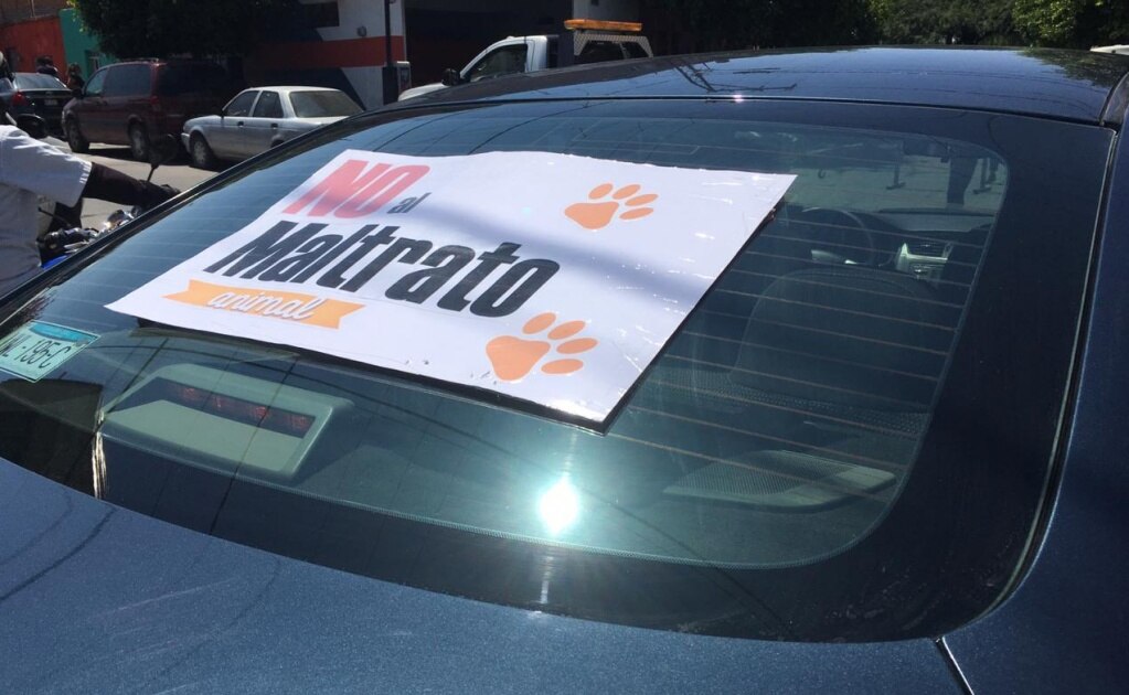 Ciudadanos protestan en Unidad Administrativa de SLP por rechazo a reglamento de cuidado animal