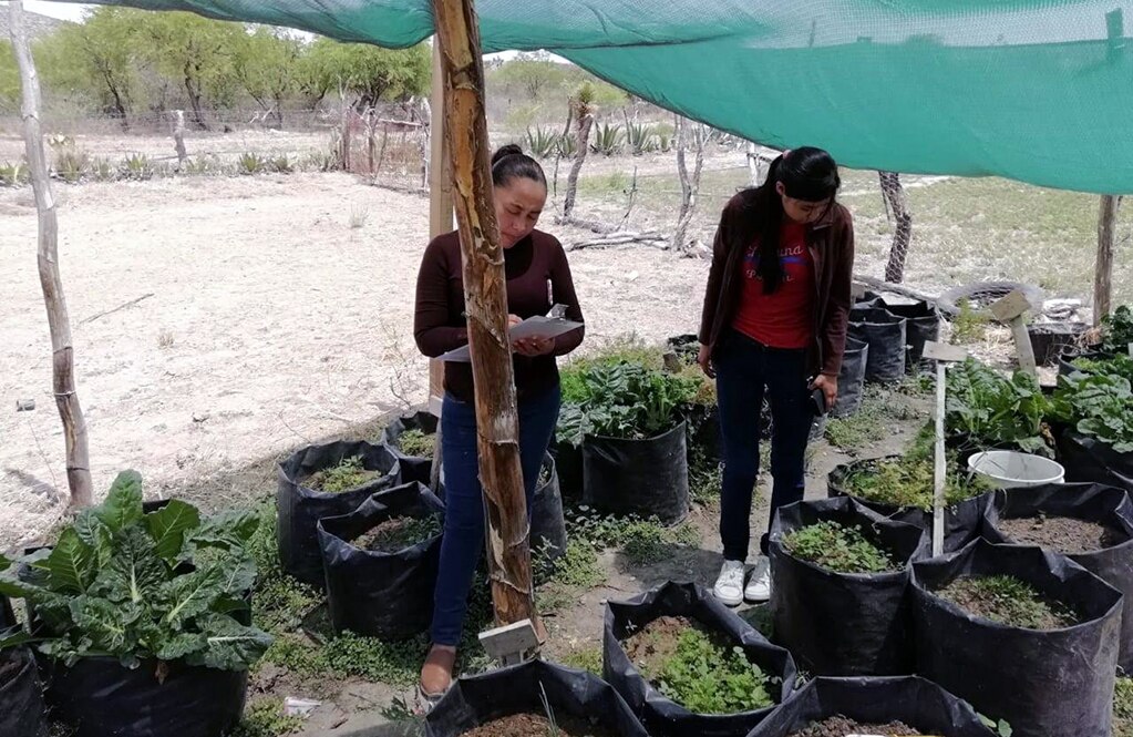 Entregan equipamiento para huertos familiares