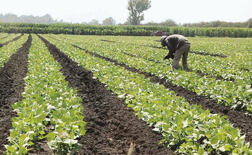 Inegi revisa PIB; economía se estanca en segundo trimestre de 2019