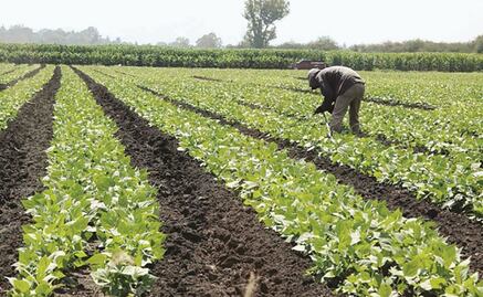 Inegi revisa PIB; economía se estanca en segundo trimestre de 2019