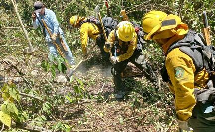 Multas de más de 100 mil pesos por quemas irregulares agrícolas en SLP  