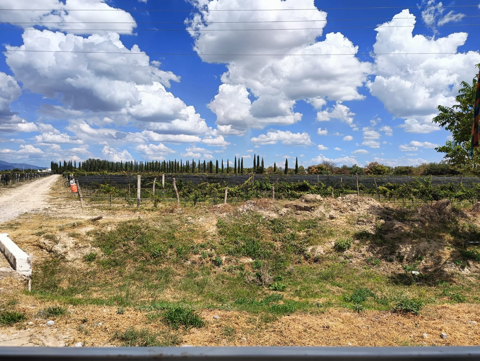 La tierra de esta región es rica en minerales