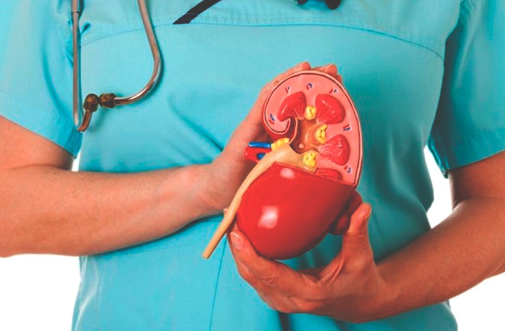 Cerca de tres mil potosinos padecen enfermedades renales