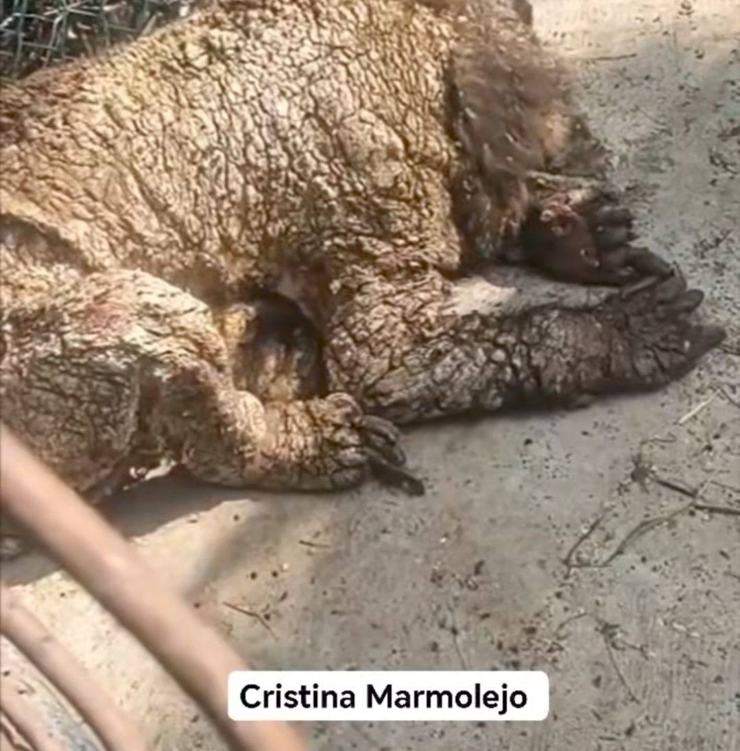 Foto: Cristina Marmolejo.