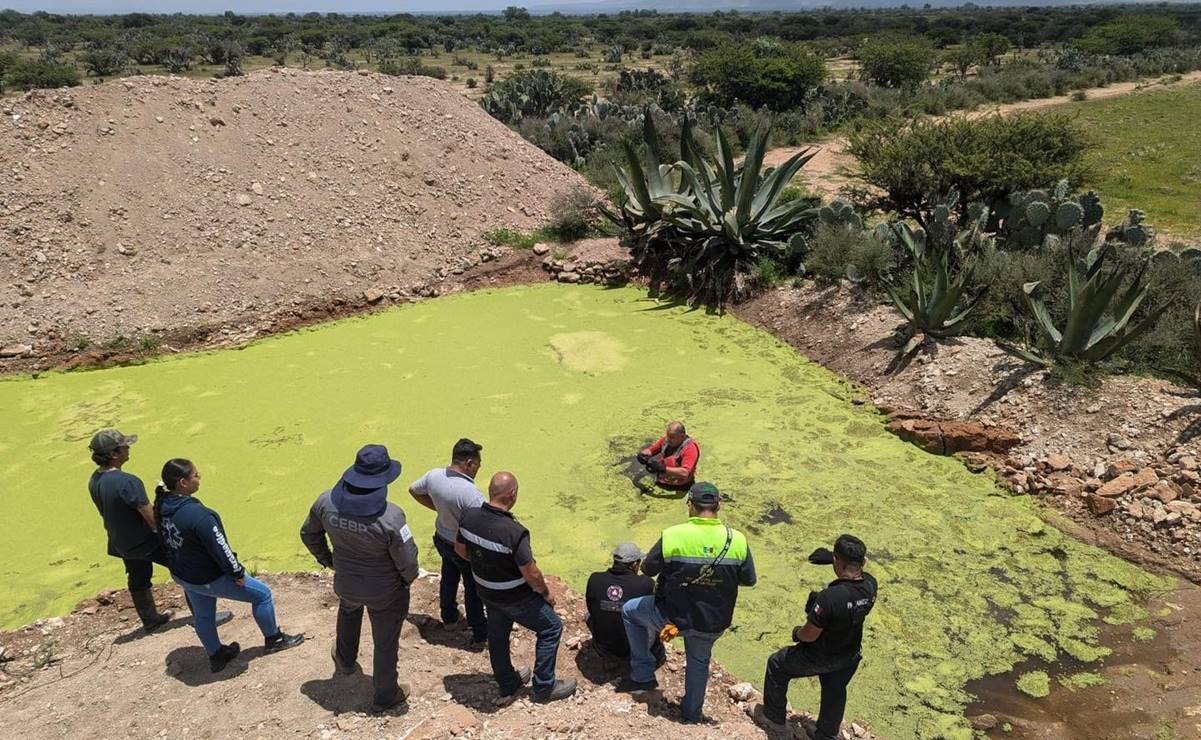No se ahogó, se desorientó y llegó a Zacatecas; hallan a niño de 7 años desaparecido en SLP