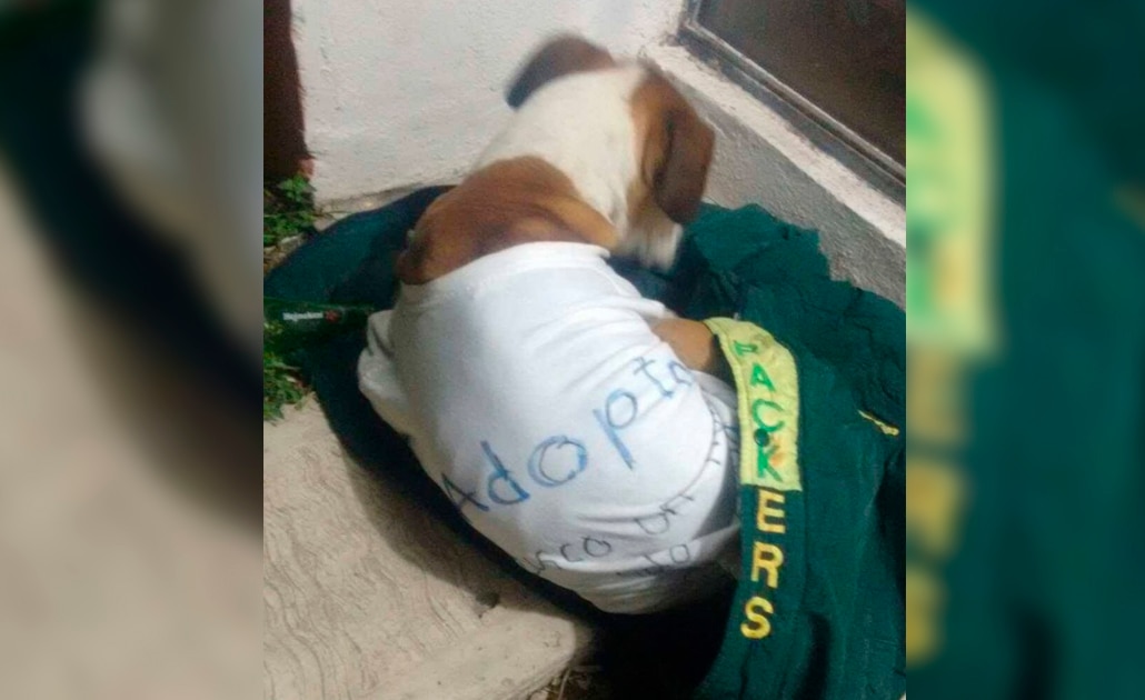 Responsables de la muerte de “Miguelito” serían sancionados con prisión