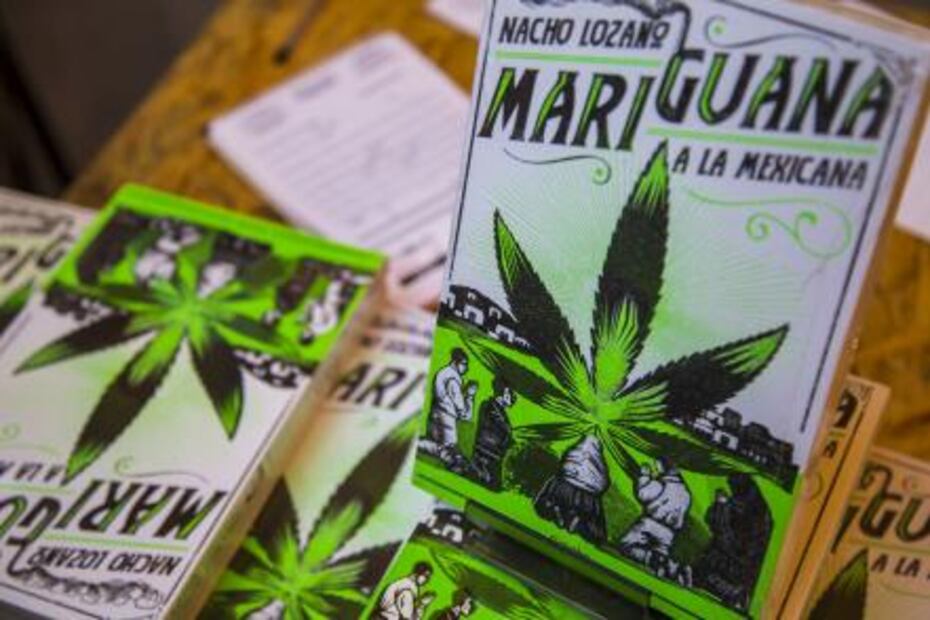 El consumo de drogas debe ser tratado como un problema de salud: Nacho Lozano