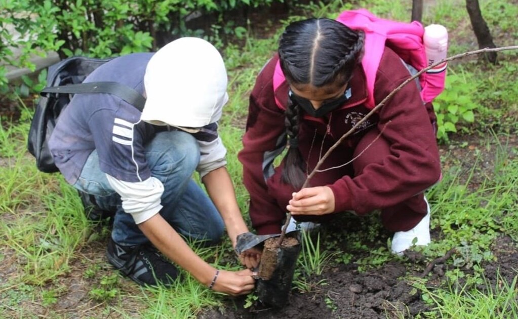 Siembran árboles en honor a 134 maestros muertos por Covid-19 en Guanajuato