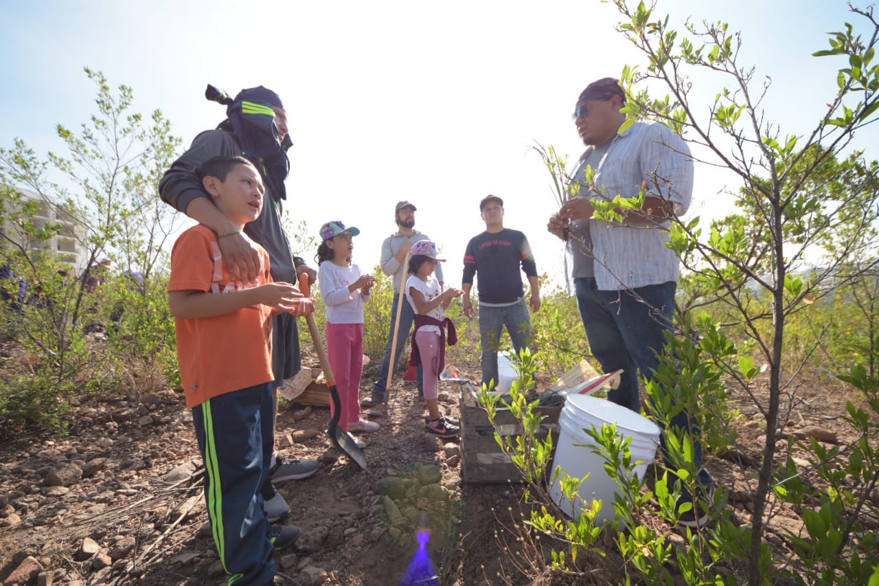 Inician programas nacionales de reforestación en SLP